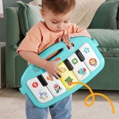 HWY49 Fisher-Price Neşeli Hayvanlar Piyanolu Jimnastik Merkezi